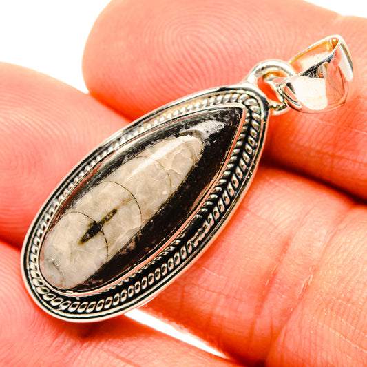 Orthoceras Fossil Pendants handcrafted by Ana Silver Co - PD26740