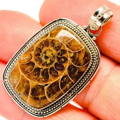 Ammonite fossil pendant close-up: oval amber fossil in silver ornate frame