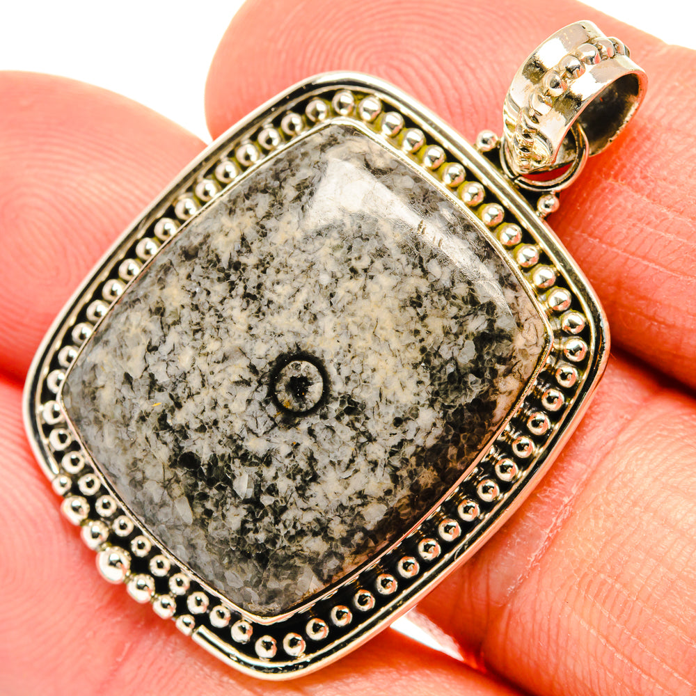 Moroccan Goniatite Fossil Pendants handcrafted by Ana Silver Co - PD27360