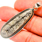 Orthoceras Fossil Pendants handcrafted by Ana Silver Co - PD27381