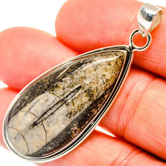 Orthoceras Fossil Pendants handcrafted by Ana Silver Co - PD27382