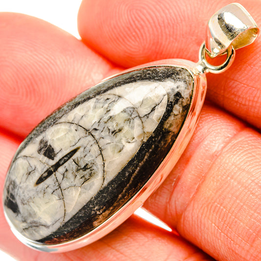 Orthoceras Fossil Pendants handcrafted by Ana Silver Co - PD27383