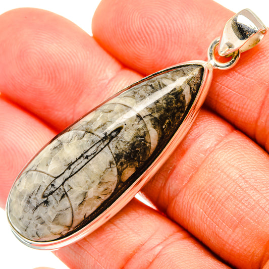Orthoceras Fossil Pendants handcrafted by Ana Silver Co - PD27384