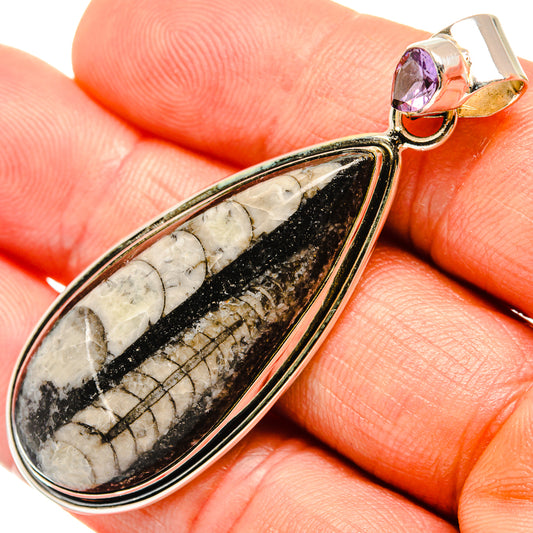 Orthoceras Fossil Pendants handcrafted by Ana Silver Co - PD27385