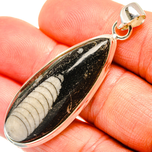 Orthoceras Fossil Pendants handcrafted by Ana Silver Co - PD27386