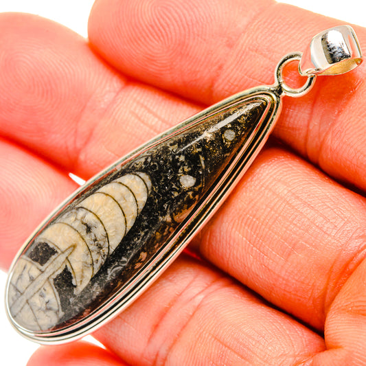 Orthoceras Fossil Pendants handcrafted by Ana Silver Co - PD27387