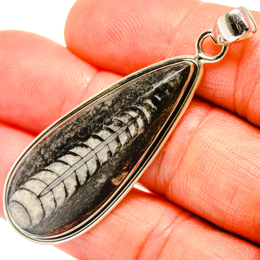 Orthoceras Fossil Pendants handcrafted by Ana Silver Co - PD27388