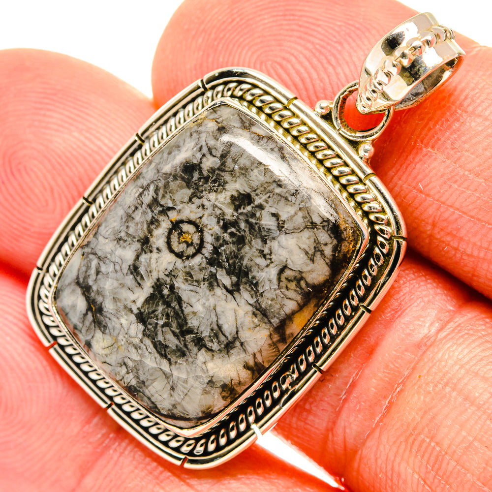 Moroccan Goniatite Fossil Pendants handcrafted by Ana Silver Co - PD27484
