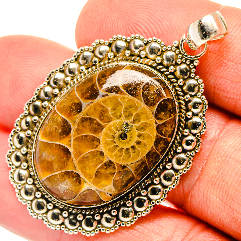 Ammonite Fossil Pendants handcrafted by Ana Silver Co - PD27524