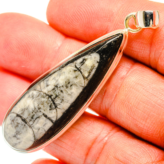 Orthoceras Fossil Pendants handcrafted by Ana Silver Co - PD27528
