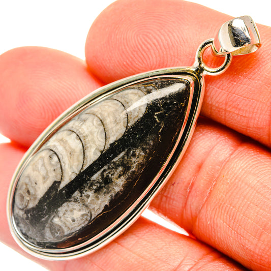 Orthoceras Fossil Pendants handcrafted by Ana Silver Co - PD27529