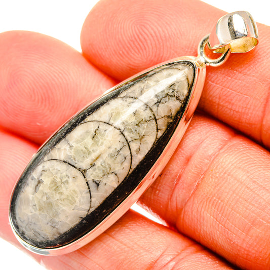 Orthoceras Fossil Pendants handcrafted by Ana Silver Co - PD27530