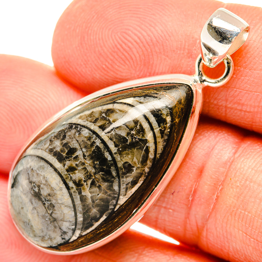 Orthoceras Fossil Pendants handcrafted by Ana Silver Co - PD27531