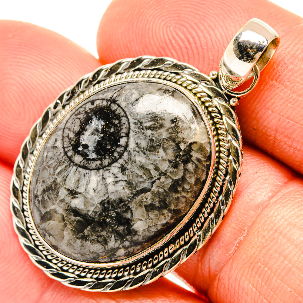 Moroccan Goniatite Fossil Pendants handcrafted by Ana Silver Co - PD27663