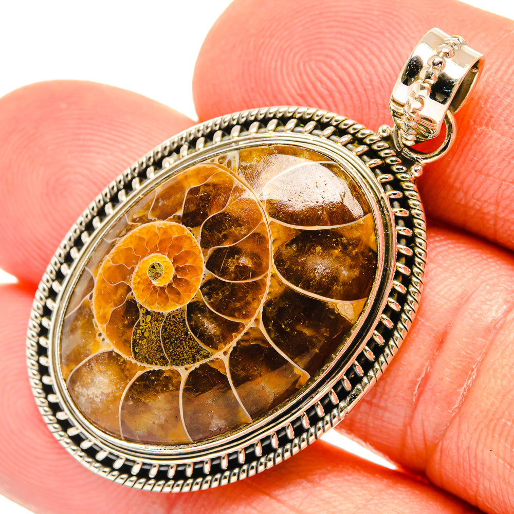 Ammonite Fossil Pendants handcrafted by Ana Silver Co - PD27678