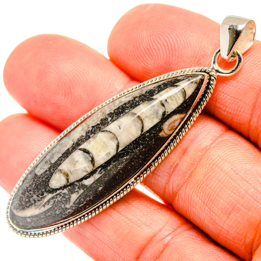 Orthoceras Fossil Pendants handcrafted by Ana Silver Co - PD27719