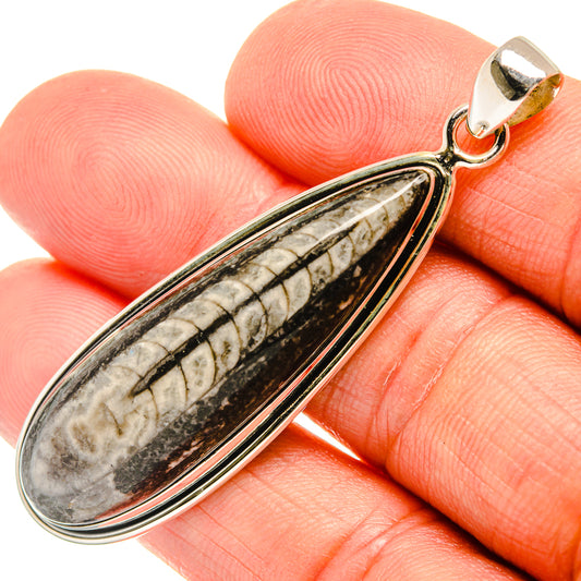 Orthoceras Fossil Pendants handcrafted by Ana Silver Co - PD27720
