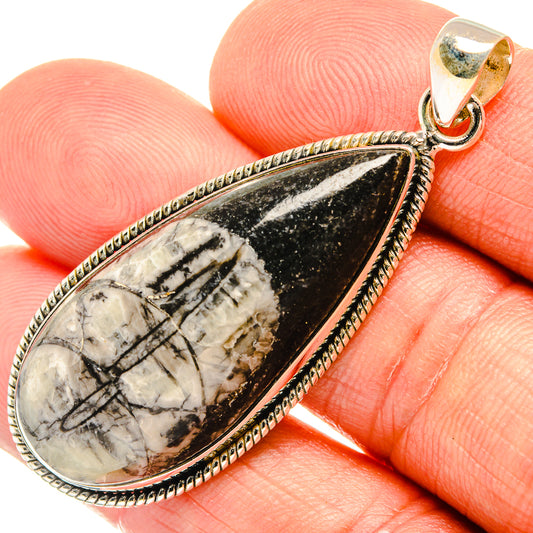 Orthoceras Fossil Pendants handcrafted by Ana Silver Co - PD27721