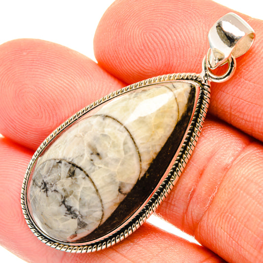 Orthoceras Fossil Pendants handcrafted by Ana Silver Co - PD27722