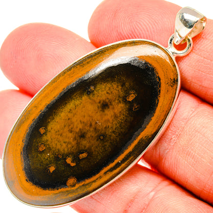 Tiger Iron Pendants handcrafted by Ana Silver Co - PD28746
