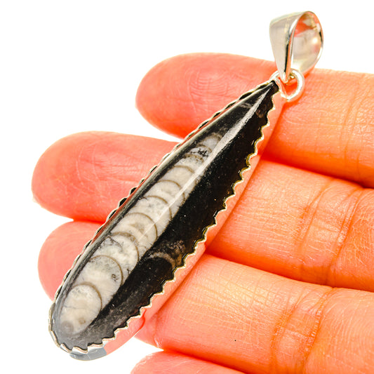 Orthoceras Fossil Pendants handcrafted by Ana Silver Co - PD29352