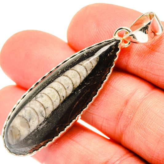Orthoceras Fossil Pendants handcrafted by Ana Silver Co - PD30185