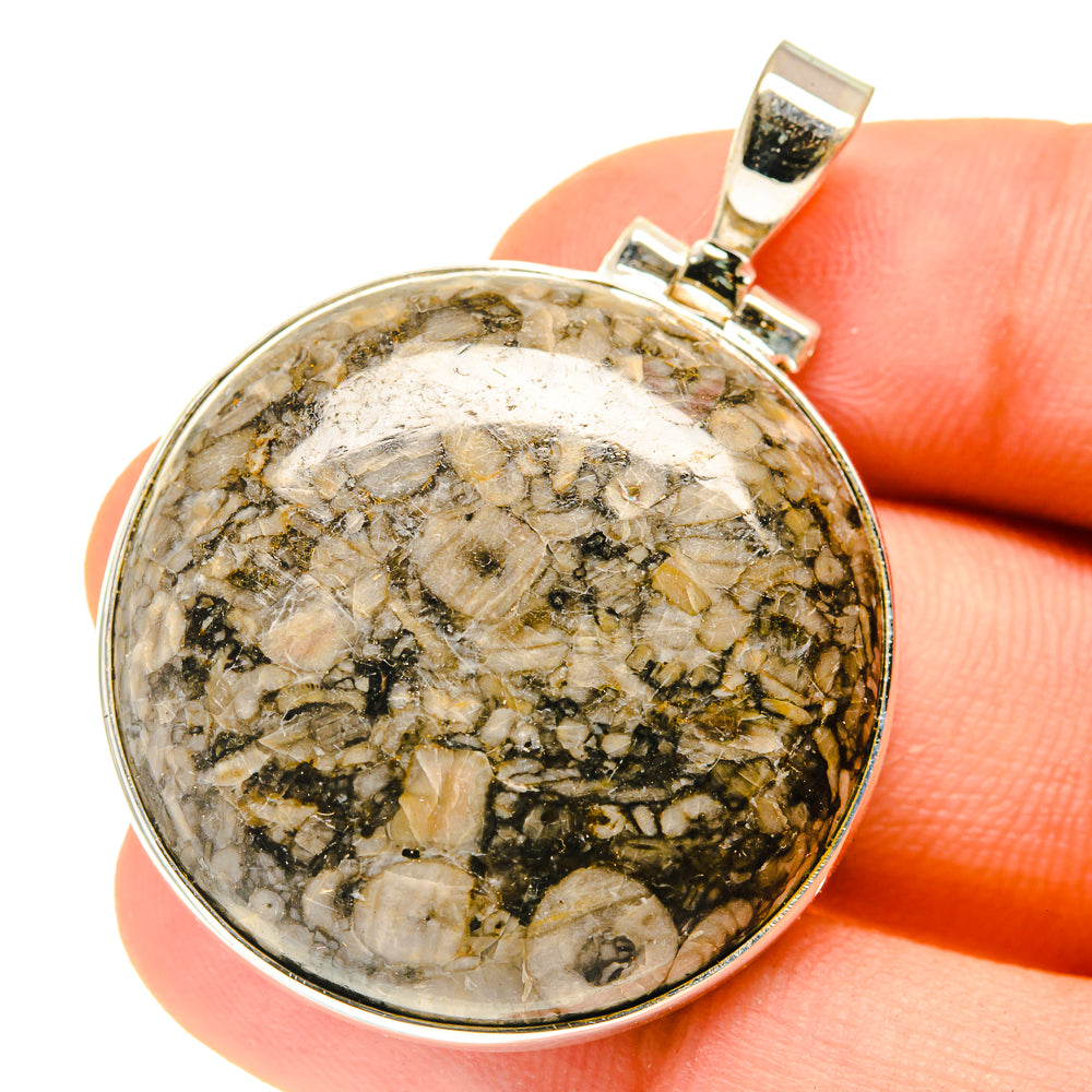 Crinoid Fossil Pendants handcrafted by Ana Silver Co - PD3019