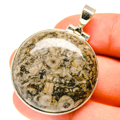 Crinoid Fossil Pendants handcrafted by Ana Silver Co - PD3019