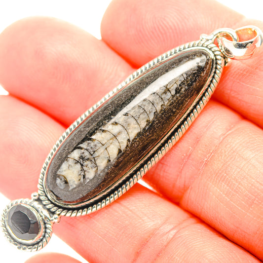 Orthoceras Fossil Pendants handcrafted by Ana Silver Co - PD31855