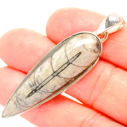 Orthoceras Fossil Pendants handcrafted by Ana Silver Co - PD31945