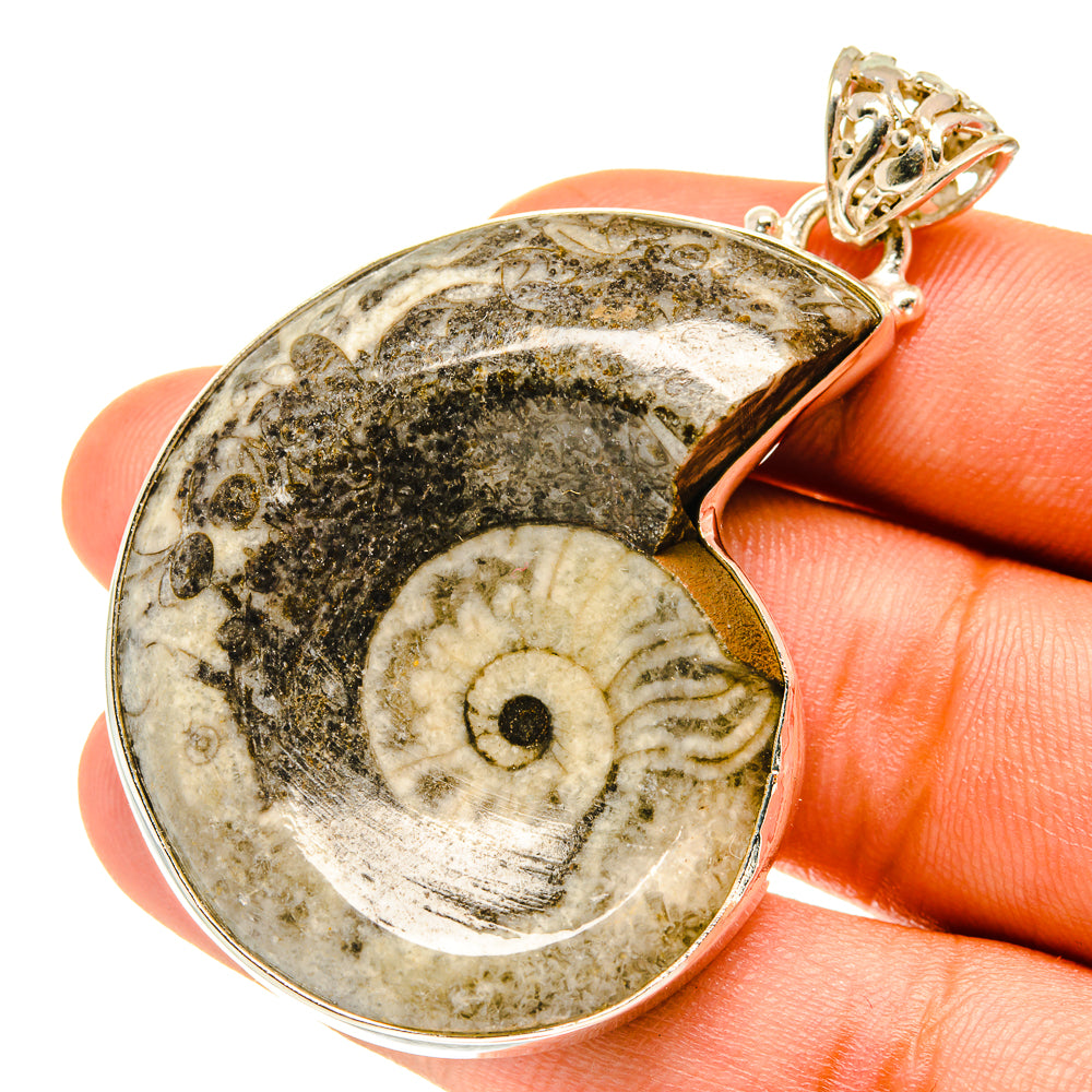 Orthoceras Fossil Pendants handcrafted by Ana Silver Co - PD3230