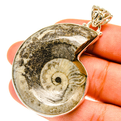 Orthoceras Fossil Pendants handcrafted by Ana Silver Co - PD3230