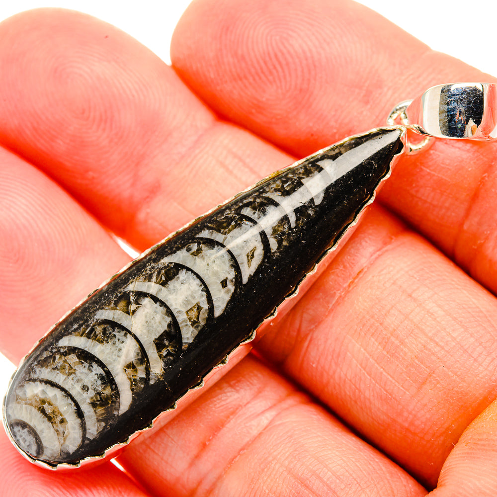 Orthoceras Fossil Pendants handcrafted by Ana Silver Co - PD32394