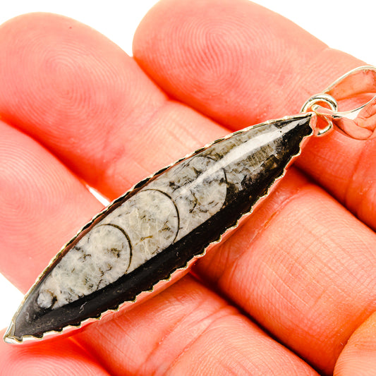 Orthoceras Fossil Pendants handcrafted by Ana Silver Co - PD32396