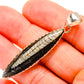 Orthoceras Fossil Pendants handcrafted by Ana Silver Co - PD32397