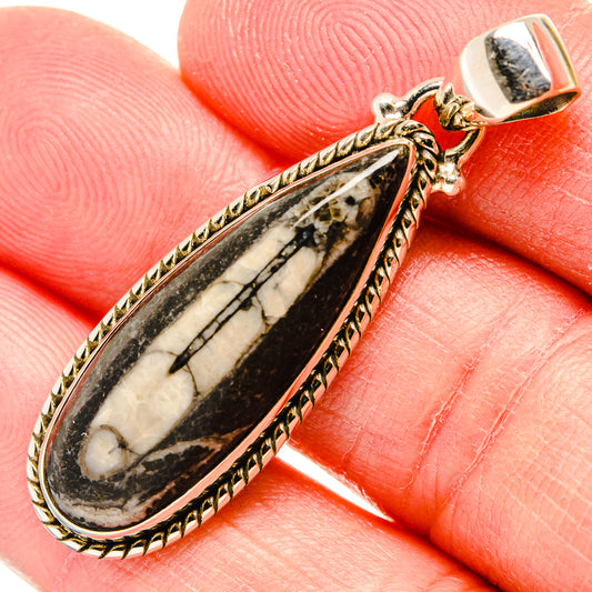 Orthoceras Fossil Pendants handcrafted by Ana Silver Co - PD34373
