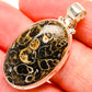 Turritella Agate Pendants handcrafted by Ana Silver Co - PD34403