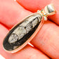 Orthoceras Fossil Pendants handcrafted by Ana Silver Co - PD34454
