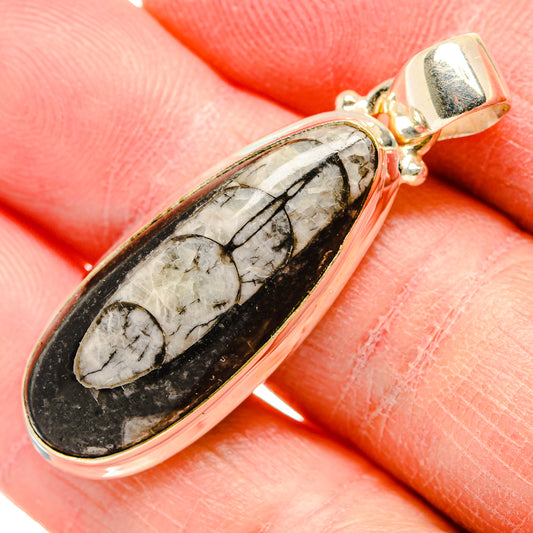 Orthoceras Fossil Pendants handcrafted by Ana Silver Co - PD34454