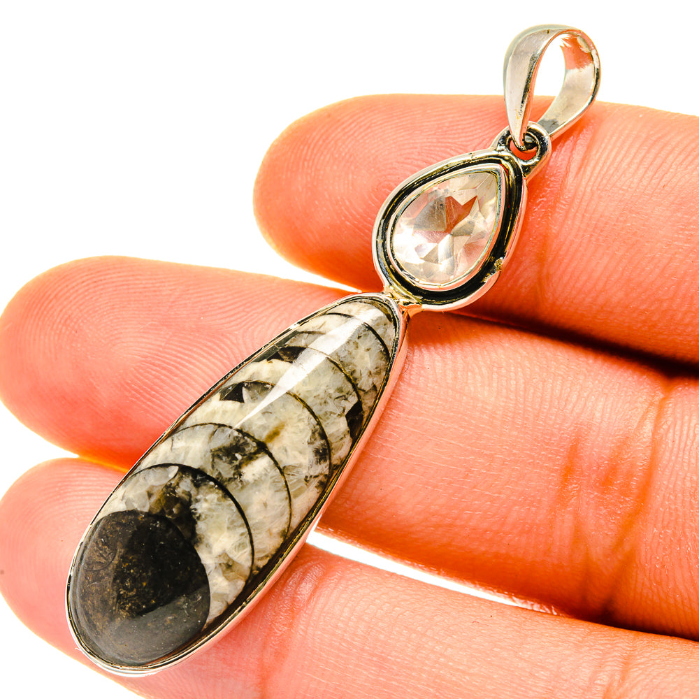 Orthoceras Fossil Pendants handcrafted by Ana Silver Co - PD4219