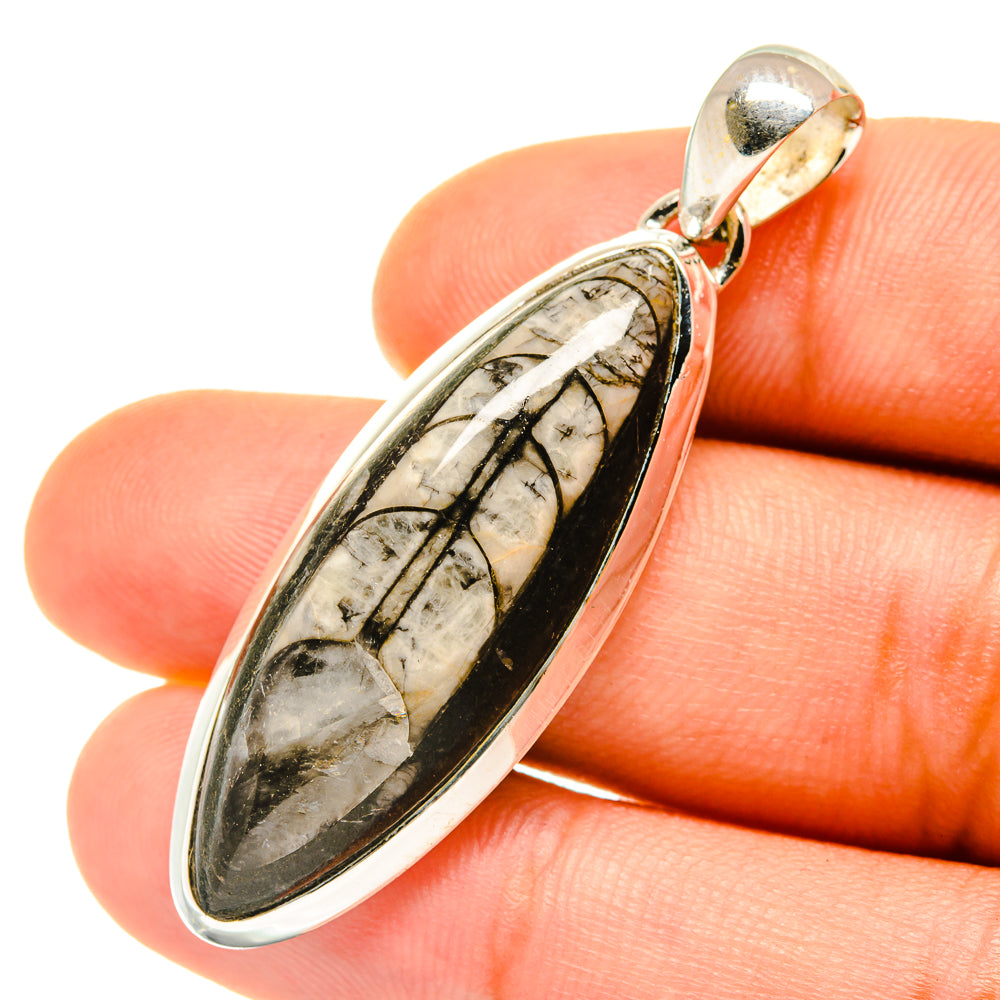 Sterling silver pendant with oval fossil cabochon, close view of bail and stone details