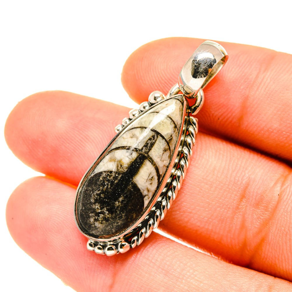Orthoceras Fossil Pendants handcrafted by Ana Silver Co - PD4701