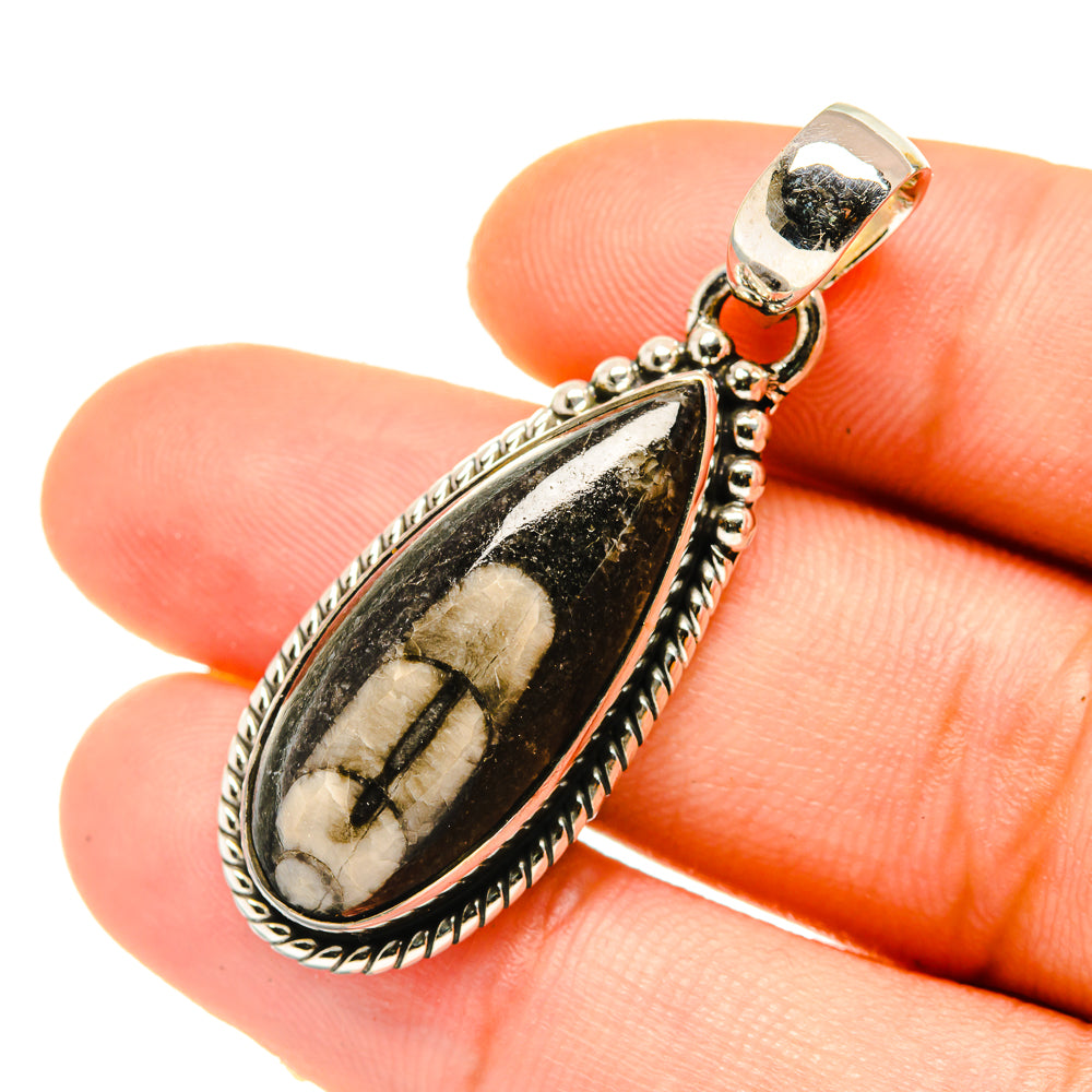 Orthoceras Fossil Pendants handcrafted by Ana Silver Co - PD4704