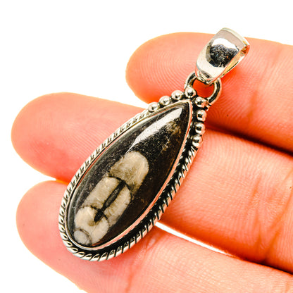 Orthoceras Fossil Pendants handcrafted by Ana Silver Co - PD4704