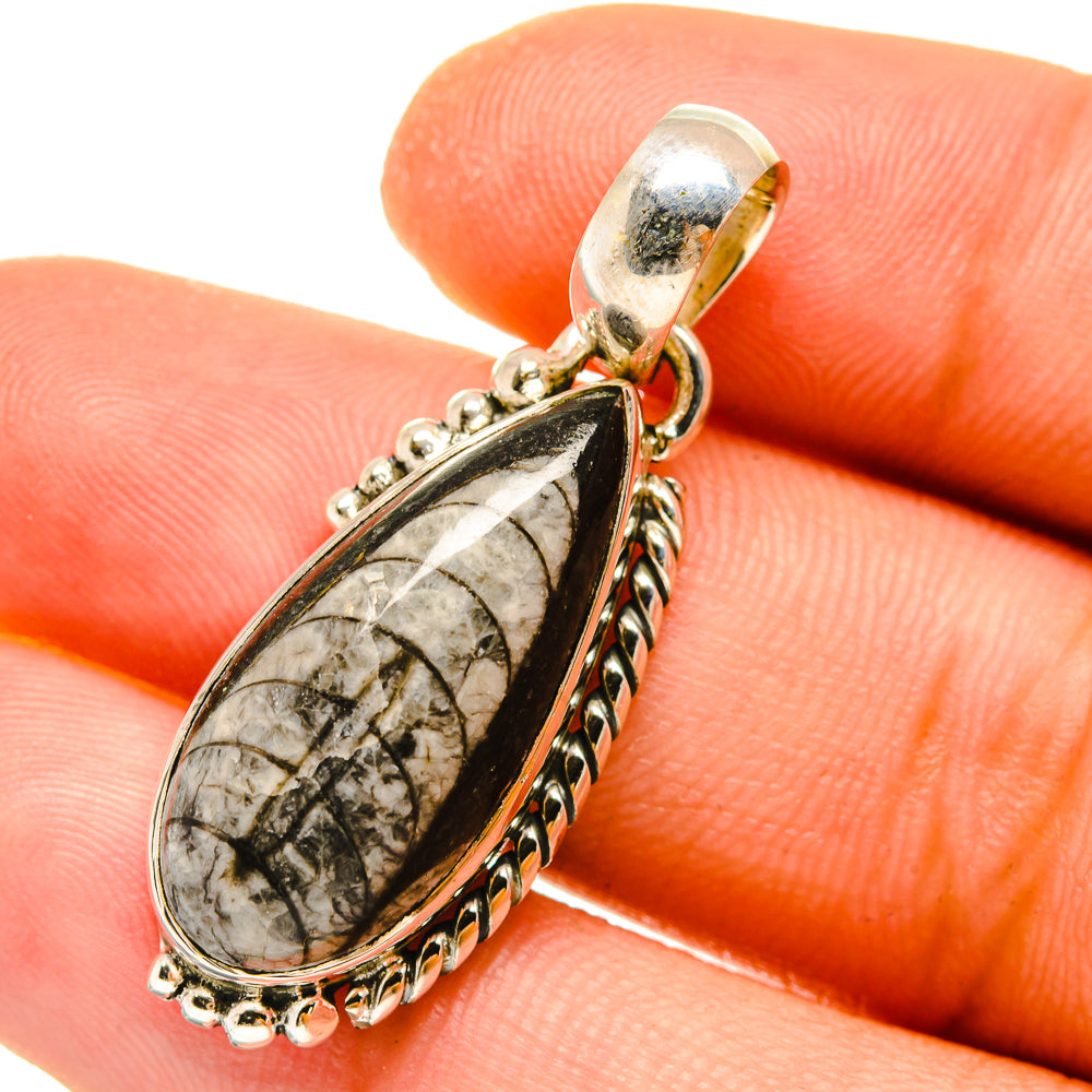 Orthoceras Fossil Pendants handcrafted by Ana Silver Co - PD4848