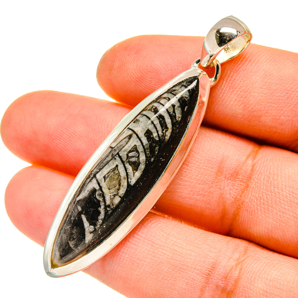 Orthoceras Fossil Pendants handcrafted by Ana Silver Co - PD5188