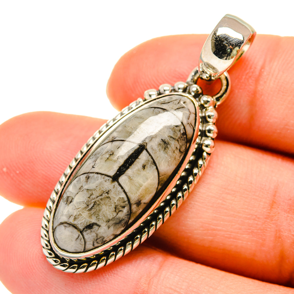 Orthoceras Fossil Pendants handcrafted by Ana Silver Co - PD5431