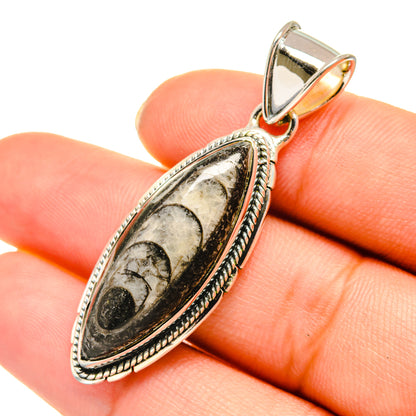 Orthoceras Fossil Pendants handcrafted by Ana Silver Co - PD5767