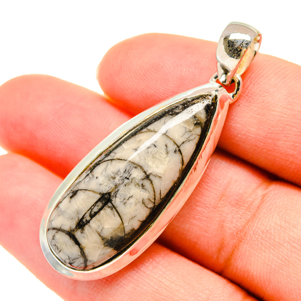 Orthoceras Fossil Pendants handcrafted by Ana Silver Co - PD6062