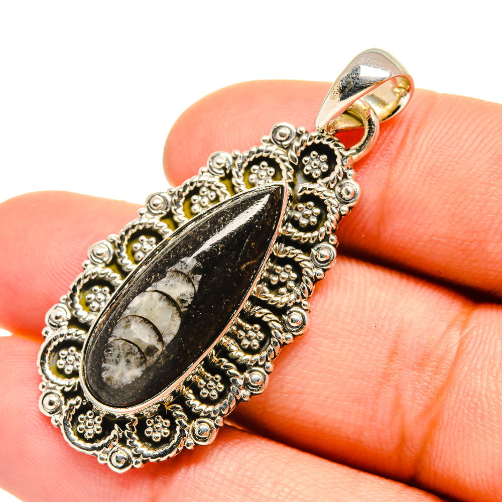 Orthoceras Fossil Pendants handcrafted by Ana Silver Co - PD6507